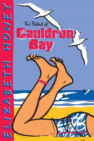 Book cover of The Ballad of Cauldron Bay