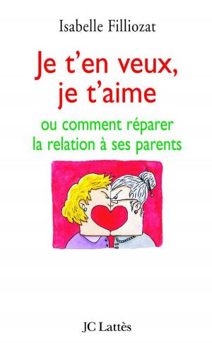 Cover of the book Je t'en veux, je t'aime by Delphine Bertholon
