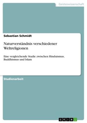 Cover of the book Naturverständnis verschiedener Weltreligionen by Anonym