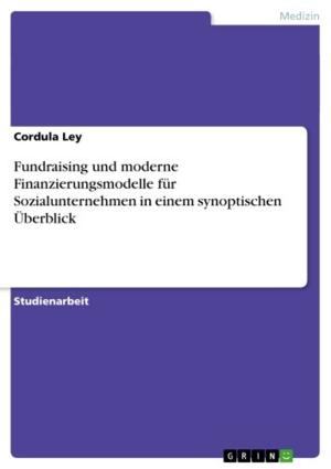 Cover of the book Fundraising und moderne Finanzierungsmodelle für Sozialunternehmen in einem synoptischen Überblick by 丹尼爾．科伊爾