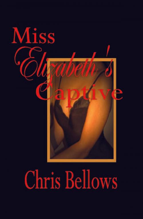 Cover of the book Miss Elizabeth's Captive by Chris Bellows, Chris Bellows, Pink Flamingo Media