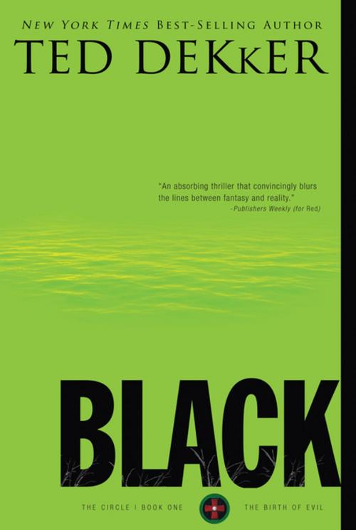 Cover of the book Black by Ted Dekker, Thomas Nelson