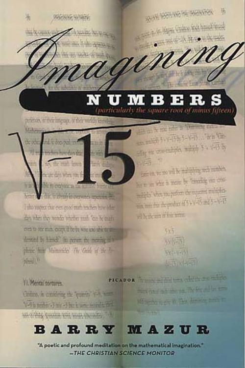 Cover of the book Imagining Numbers by Barry Mazur, Farrar, Straus and Giroux