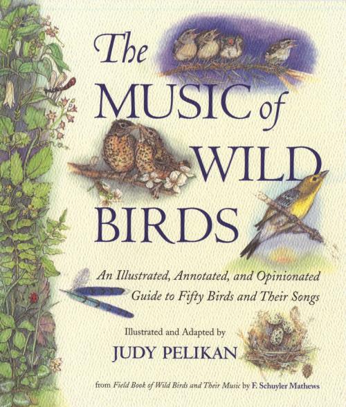 Cover of the book The Music of Wild Birds by F. Schuyler Mathews, Judy Pelikan, Algonquin Books
