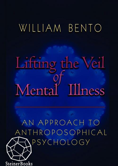 Cover of the book Lifting the Veil of Mental Illness by William R. Bento, SteinerBooks