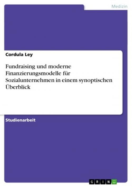 Cover of the book Fundraising und moderne Finanzierungsmodelle für Sozialunternehmen in einem synoptischen Überblick by Cordula Ley, GRIN Verlag