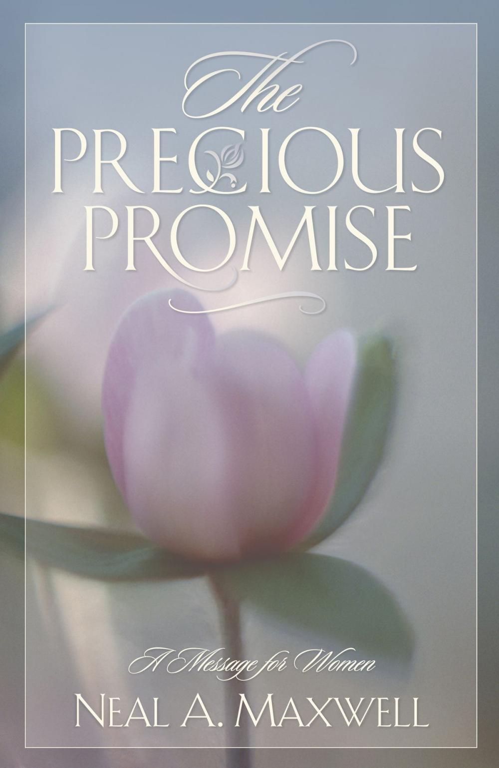 Big bigCover of The Precious Promise