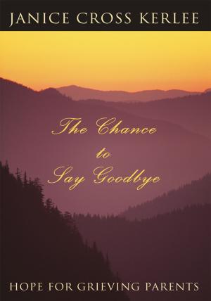 Cover of the book The Chance to Say Goodbye by Brenda J Rigsby