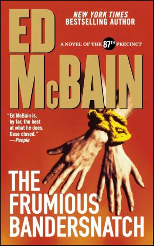 Cover of the book The Frumious Bandersnatch by Steve Erickson