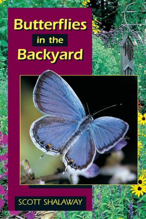 bigCover of the book Butterflies in the Backyard by 