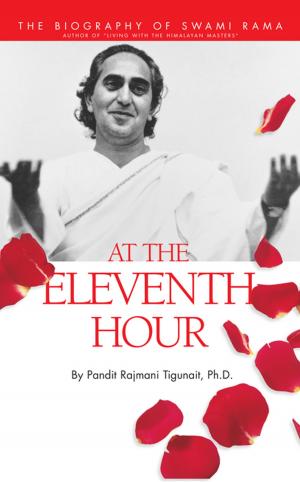 Cover of the book At the Eleventh Hour by Swami Rama
