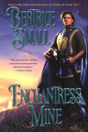 Cover of the book Enchantress Mine by Adam Pelzman