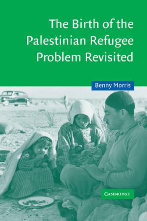 Cover of the book The Birth of the Palestinian Refugee Problem Revisited by Dr Judith Scheele