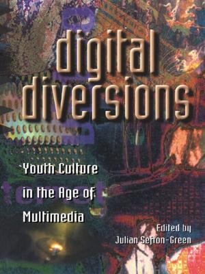 Cover of the book Digital Diversions by Carla Van Dam