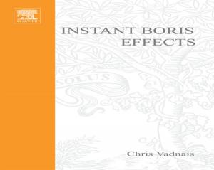 bigCover of the book Instant Boris Effects by 