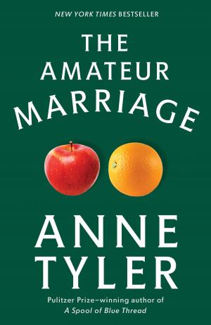 Cover of the book The Amateur Marriage by Daniel J. Boorstin