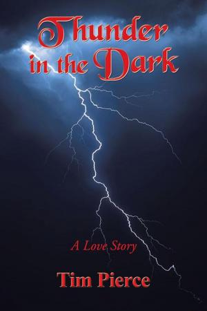 Cover of the book Thunder in the Dark by Allison Barrault