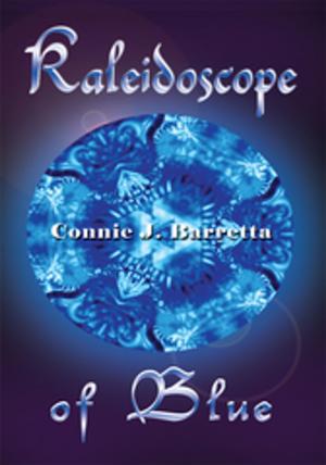 Cover of the book Kaleidoscope of Blue by Timothy Segrest
