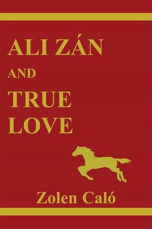Cover of the book Ali Zán and True Love by Jerry Belvo