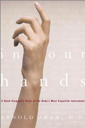 Cover of the book In Our Hands by Sergio Luzzatto