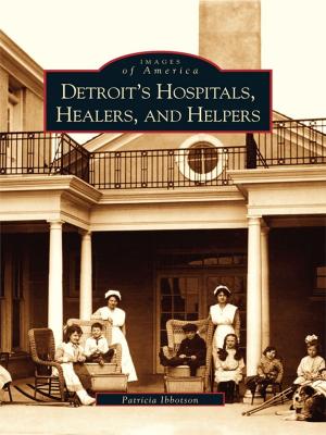 Cover of the book Detroit's Hospitals, Healers, and Helpers by Jim Gregory