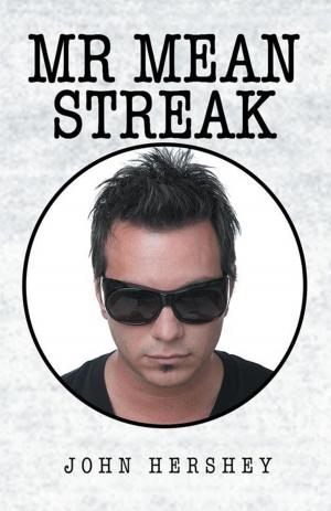 Cover of the book Mr. Mean Streak by John V. Patrick