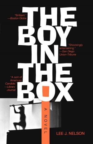 Cover of the book The Boy in the Box by Lois Beachy Underhill