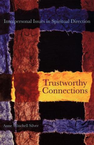 Cover of the book Trustworthy Connections by David J. Schlafer