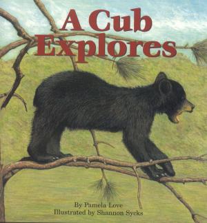 Book cover of A Cub Explores