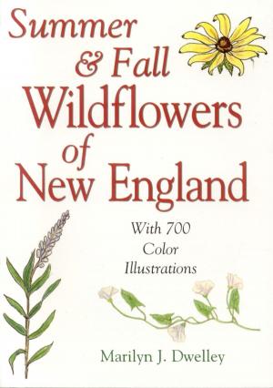 Cover of the book Summer & Fall Wildflowers of New England by Trudy Irene Scee