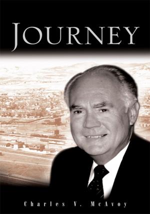 Cover of the book Journey by Allen D. Glasgow