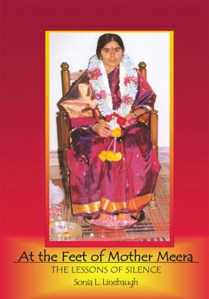 Cover of the book At the Feet of Mother Meera by John Birchard