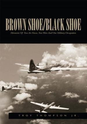 Cover of the book Brown Shoe/Black Shoe by Luke Wanagi Nupa, Lucian A. Tower