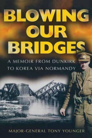 Cover of the book Blowing Our Bridges by Nick Barratt