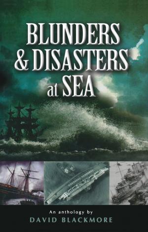 Cover of the book Blunders and Disasters at Sea by David Cable