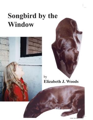 Cover of the book Songbird by the Window by Laura VanArendonk Baugh