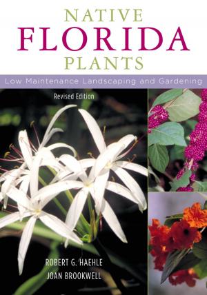 Cover of the book Native Florida Plants by Jan Berliner Statman