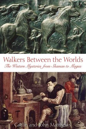 Cover of the book Walkers Between the Worlds by Michael Of Nebadon