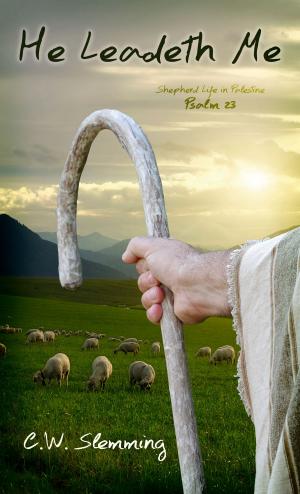 Cover of the book He Leadeth Me by Susan Sutton