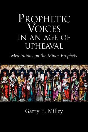 Cover of the book Prophetic Voices in an Age of Upheaval by Byron K Hotchkiss`