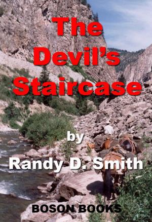 Book cover of The Devil's Staircase