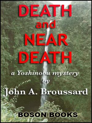 Cover of the book Death and Near Death by Bonnie Rozanski