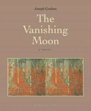 Cover of the book The Vanishing Moon by Miriam Weinstein
