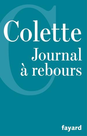 Cover of the book Journal à rebours by Michel Del Castillo