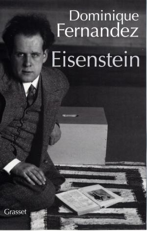 Cover of the book Eisenstein (ned) by Françoise Mallet-Joris