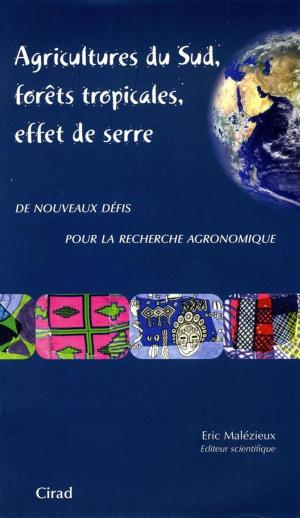 Cover of the book Agricultures du Sud, forêts tropicales, effet de serre by Martine Berlan-Darqué, Raphaël Larrère, Bernadette Lizet