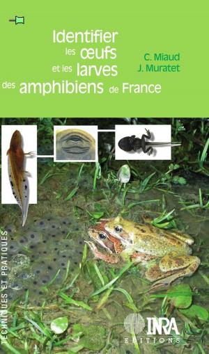 Cover of the book Identifier les oeufs et les larves des amphibiens de France by André Gallais, Agnès Ricroch