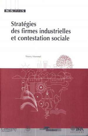 Cover of the book Stratégies des firmes industrielles et contestation sociale by Sylvain Mahuzier, Jean-Pierre Sylvestre