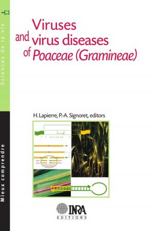 Cover of the book Viruses and Virus Diseases of Poaceae (Gramineae) by Alain Boissy, Claude Baudoin, Minh-Hà Pham-Delègue
