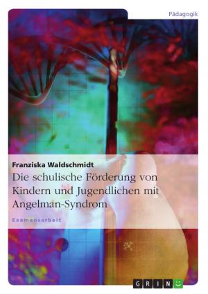 Cover of the book Die schulische Förderung von Kindern und Jugendlichen mit Angelman-Syndrom by Stefan Grzesikowski